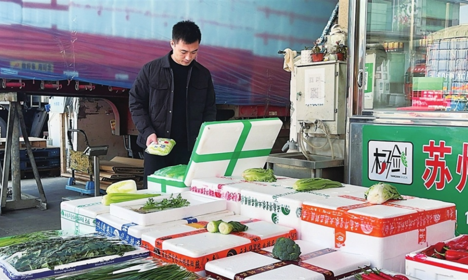 瞄准“伏档”市场需求 扩大云南叶菜生意 36岁老商户一天卖菜100吨