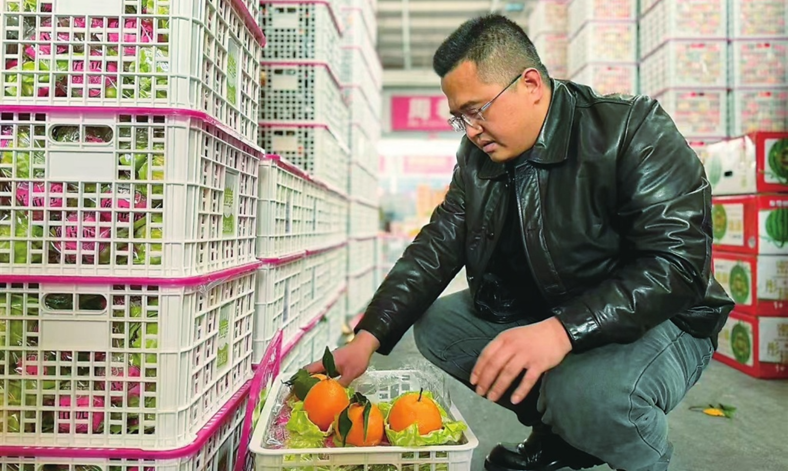 他敏锐捕捉市场变化，在批发环节打造西瓜品牌—— 水果批发走上“品牌之路”